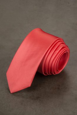 Красный галстук Галстуки